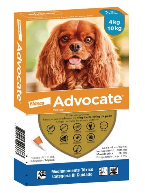 Advocate perros de 4 a 10kg