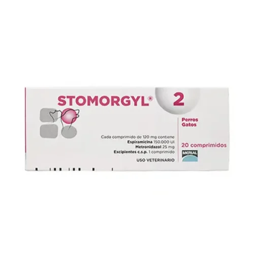 Stomorgyl 2 xund